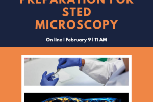 Workshop on super-resolution STED microscopy / 9 Feb. 2024 11AM and 5 – 6 March 2024