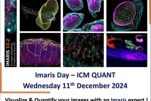 IMARIS Day – Microscopy Image Analysis Software – 11 Dec. 2024 at Paris Brain Institute