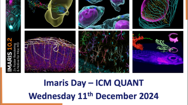 IMARIS Day – Microscopy Image Analysis Software – 11 Dec. 2024 at Paris Brain Institute